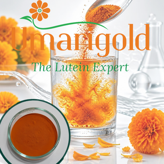 Umarigold? Lutein 20% -CWD.png