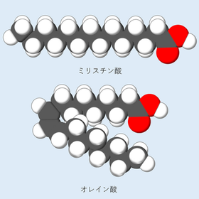 脂肪酸の組成分析(36成分について標準品を用い分析！)