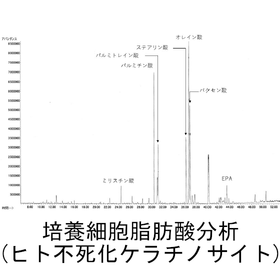 【分析事例】細胞の脂肪酸分析<動物組織>