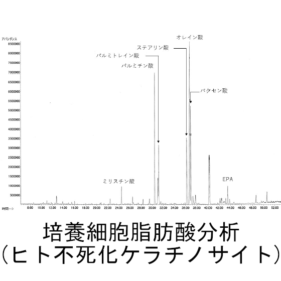 脂肪酸分析(培養細胞).png