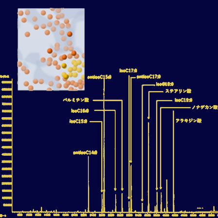 微生物の脂肪酸分析.png