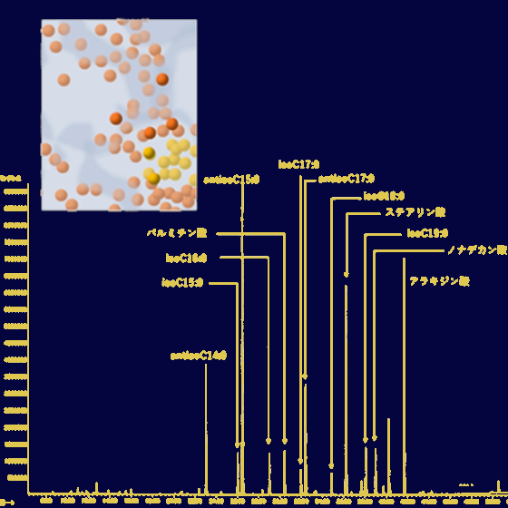 微生物の脂肪酸分析.png