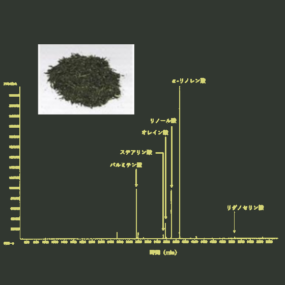 脂肪酸分析事例「茶葉の種類による脂肪酸組成の違い」【分析事例】