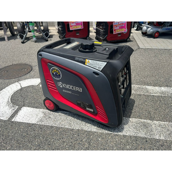 リースEGI300.jpeg