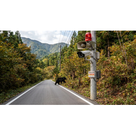 クマ　検知AIカメラ　兵庫　京都　奈良　和歌山　滋賀