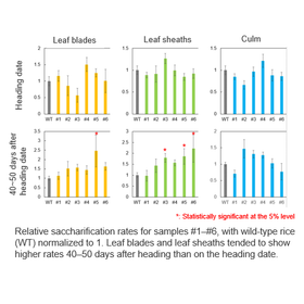 Tohoku University Technology: Improving Plant Saccharification: T24-049