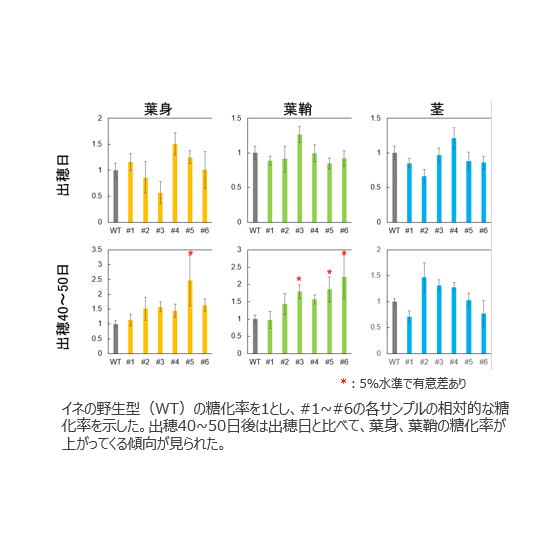 T24-049-2.png
