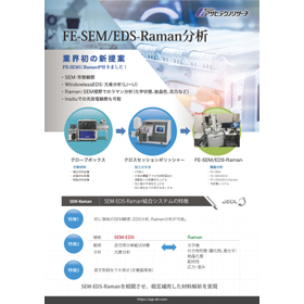 FE-SEM/EDS-Raman analysis