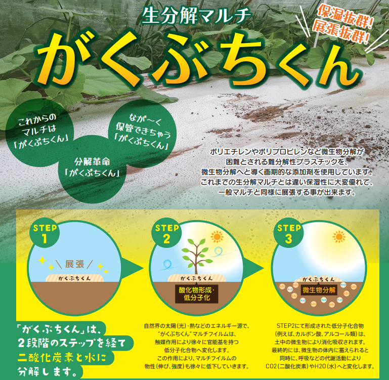 農業用の生分解性マルチフイルム『がくぶちくん』 | KGテクノ