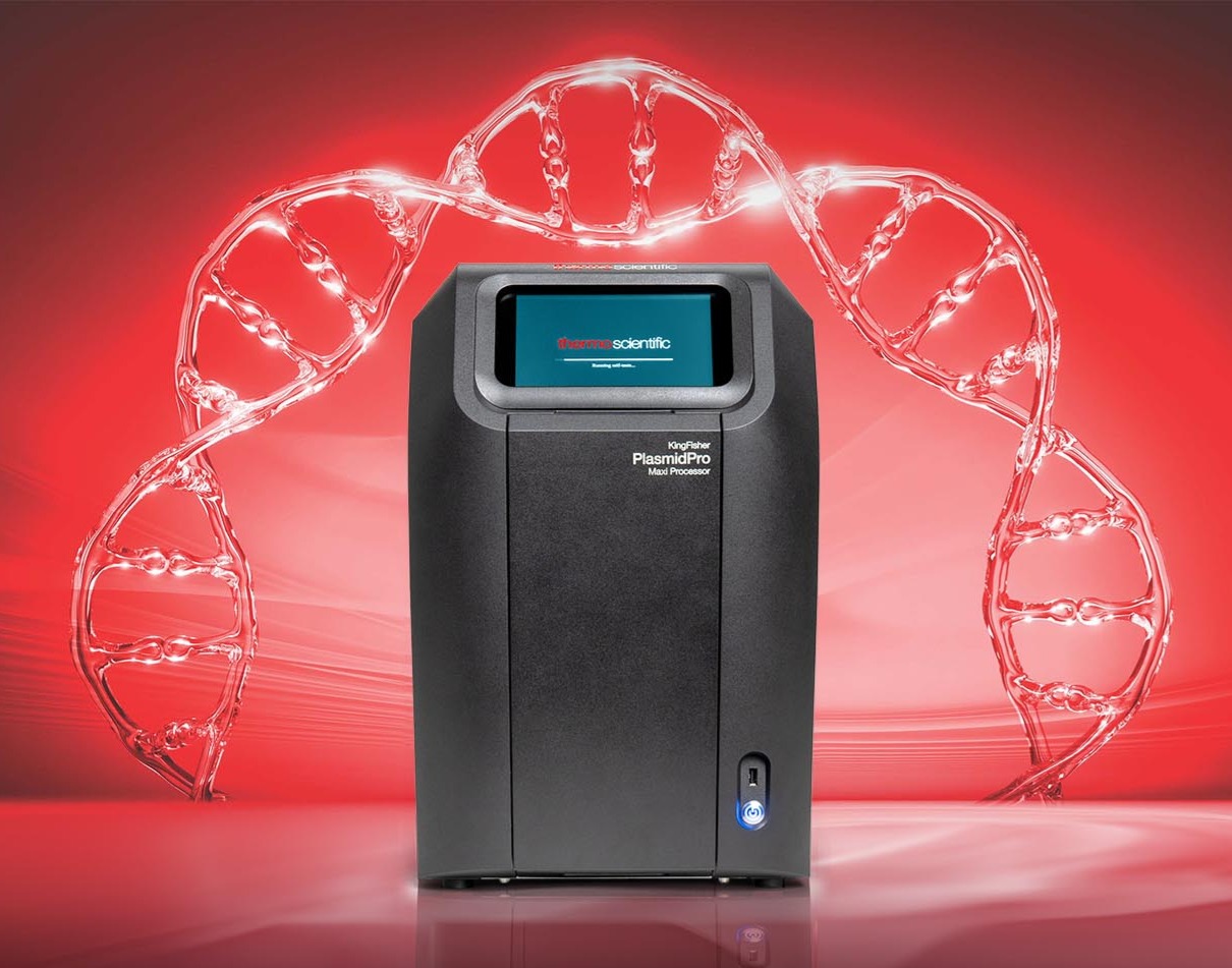 ripplefisher815さま専用 りんさん専用 りんさん専用 りんさん専用 rinさん専用 ZX DAMPER 詳細