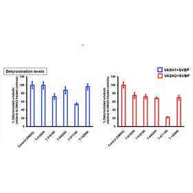 Tohoku Univ. Technology : Small molecule inhibitors of Vasohibin-2 : T23-047