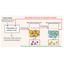 Tohoku Univ. Technology : Technology for metal resources recovery from solid waste: T24-100