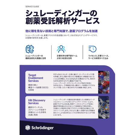 25_412_Modeling Services Overview Flyer_Japanese Translation_JP_R3-1_ページ_1.jpg