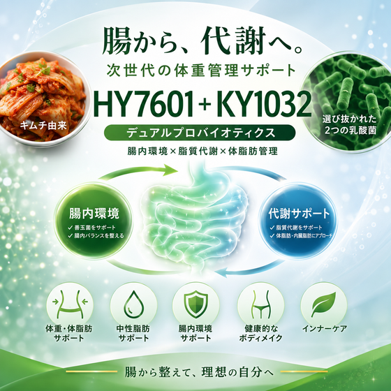 抗肥満作用乳酸菌　画像.png