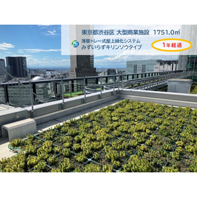 高品質と低価格：東京都での緑化納入事例をご紹介致します！