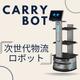 carrybot .png