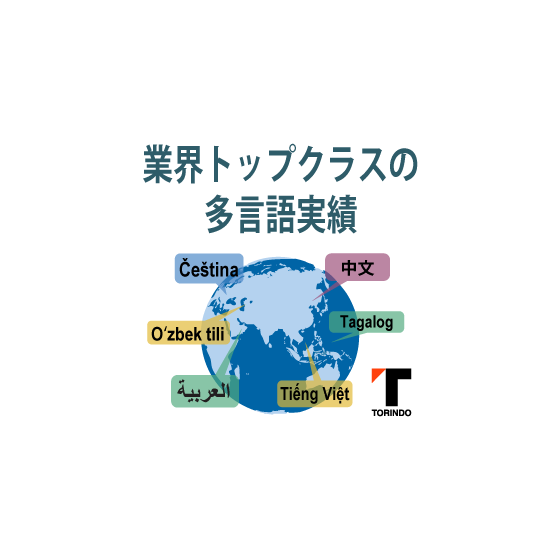 19_実績45年以上／70言語超対応.png