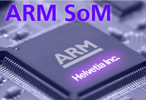 ​株 式会社ヘルヴェチア 事業紹介