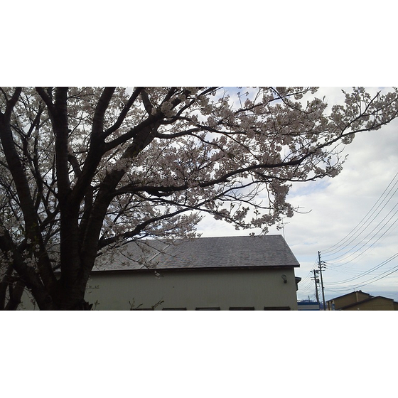 有限会社佐藤工業所.jpg