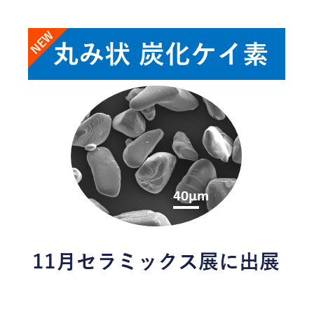 丸み状炭化ケイ素_セラミックス展用サムネイル.png