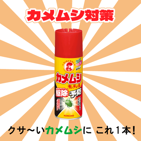 ｶﾒﾑｼｷﾝﾁｮｰﾙ画像_ｲﾌﾟﾛｽ用_202509.png