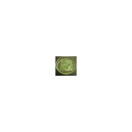 図1.png