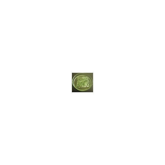 図1.png