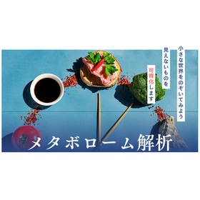 メタボローム解析（代謝物分析）