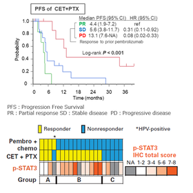 Tohoku Univ. Technology：A Diagnostic Test Enabling  Precision Oncology in Head and Neck Cancer：T25-030