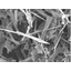 High-conductivity carbon nanofibers