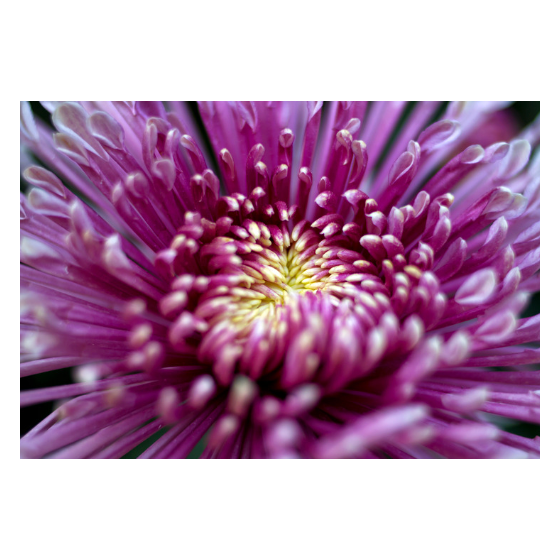 スクリーンショット 2025-11-19 15.01.15.png