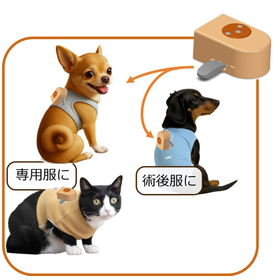 コキュウ・テクノロジーズ株式会社