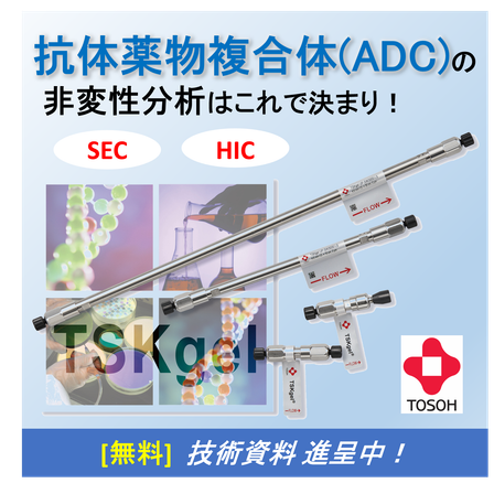 20. サムネイル.png