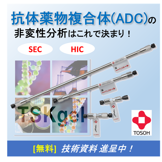 20. サムネイル.png