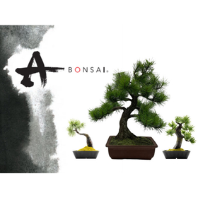 Ｊ－和インターナショナル株式会社