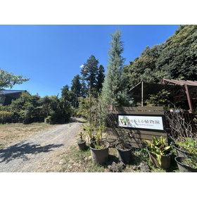 株式会社やましたグリーン