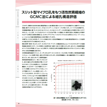 ?活性炭素繊維のGCMC法 画像.png
