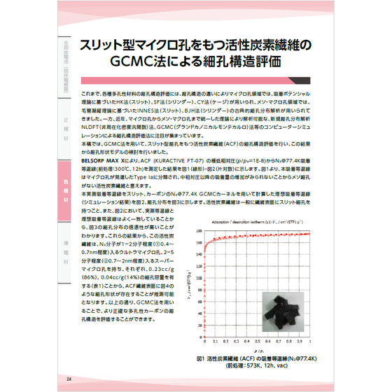 ?活性炭素繊維のGCMC法 画像.png