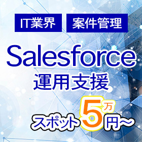 【IT業界向け・案件管理】Salesforce 運用支援サービス
