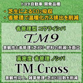 芝生によるCO2吸収の紹介【トヨタ自動車 開発品種】