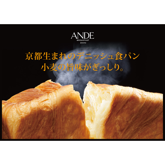1_ANDE_イメージ.jpg