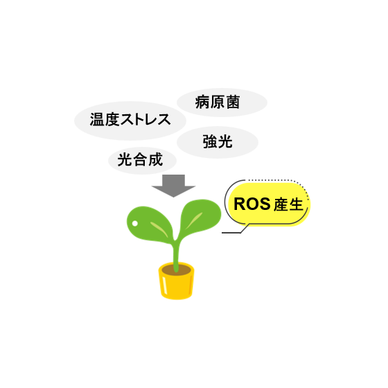 スクリーンショット 2026-02-02 130611.png