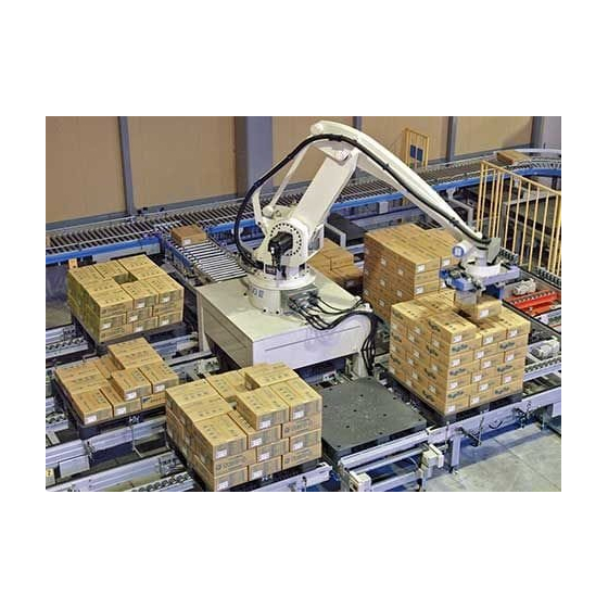 palletize_robot_rei.jpg