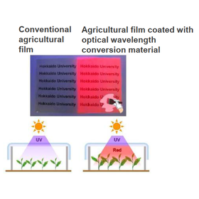 Hokkaido Univ. Technology ：Optical wavelength  conversion transparent film：HK25-006