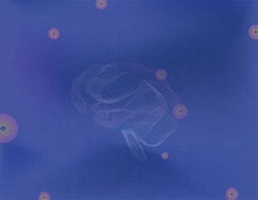 Olink神経バイオマーカーの探索・評価