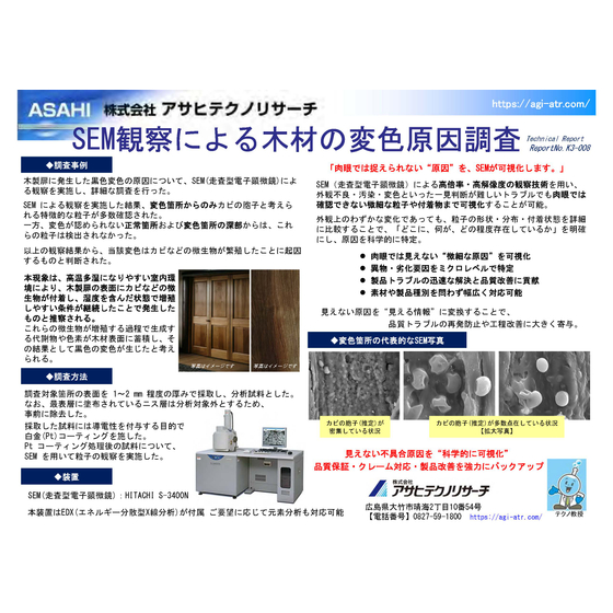 【テクニカルレポート】SEM観察による木材の変色原因調査_.jpg