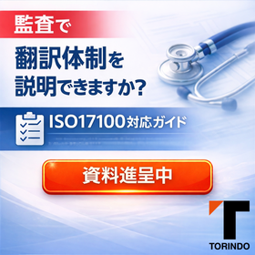 医療機器翻訳の監査対応ガイド　※ISO17100準拠の翻訳とは？ 製品画像