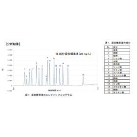 【分析事例】キャピラリー電気泳動法によるアニオン分析