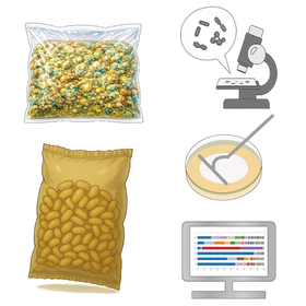 製品異常の原因究明に役に立つ微生物試験（培養法・非培養法対応）