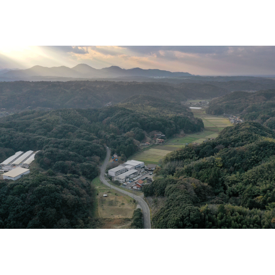 DJI_0397-1.jpg